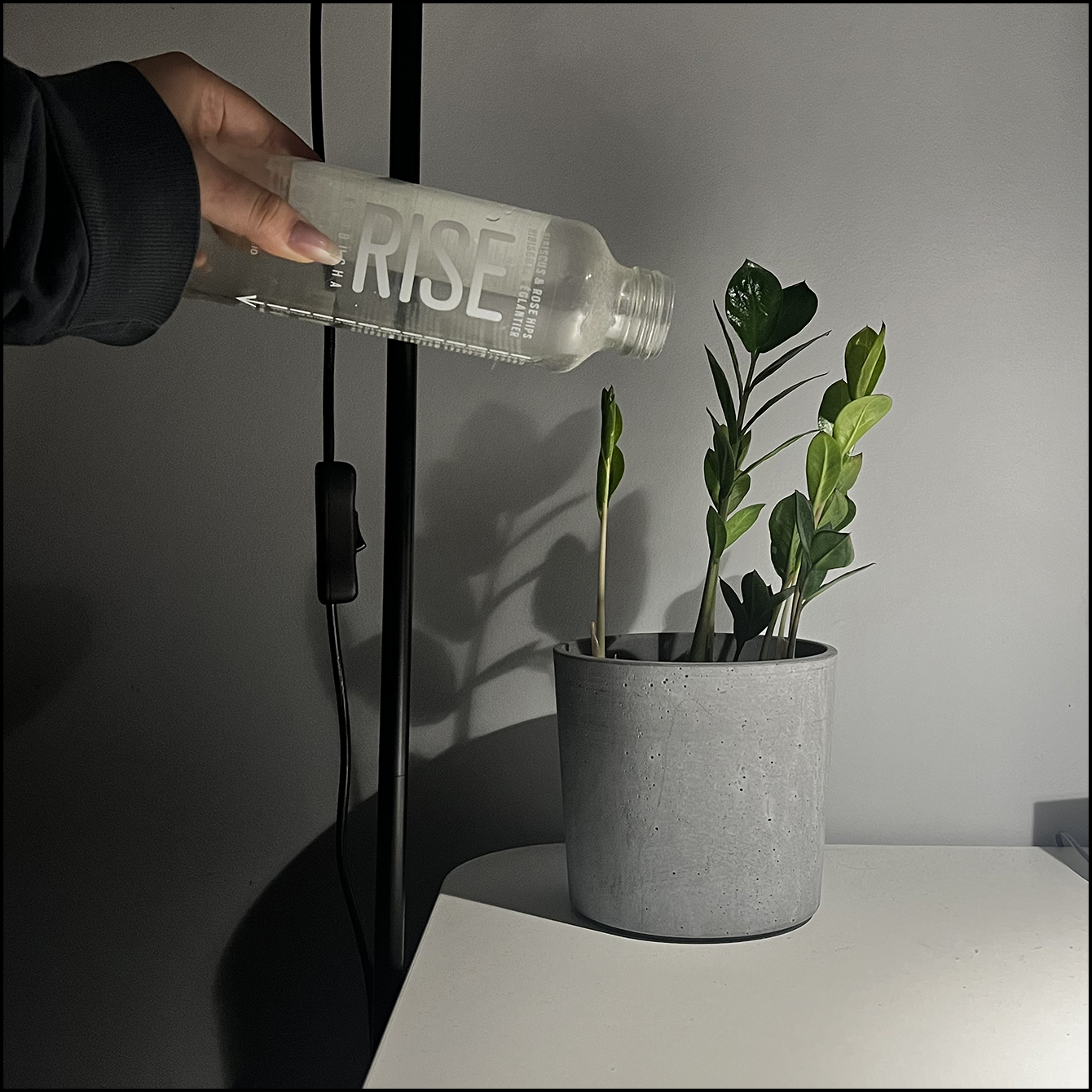 (Implied) watering of the houseplant with a glass bottle