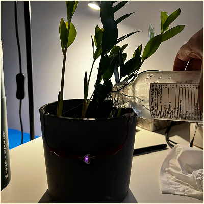 The circuit when it is closed during the watering of the plant. Lamp light is moved to behind the plant so the LED light can be seen when illuminated.
